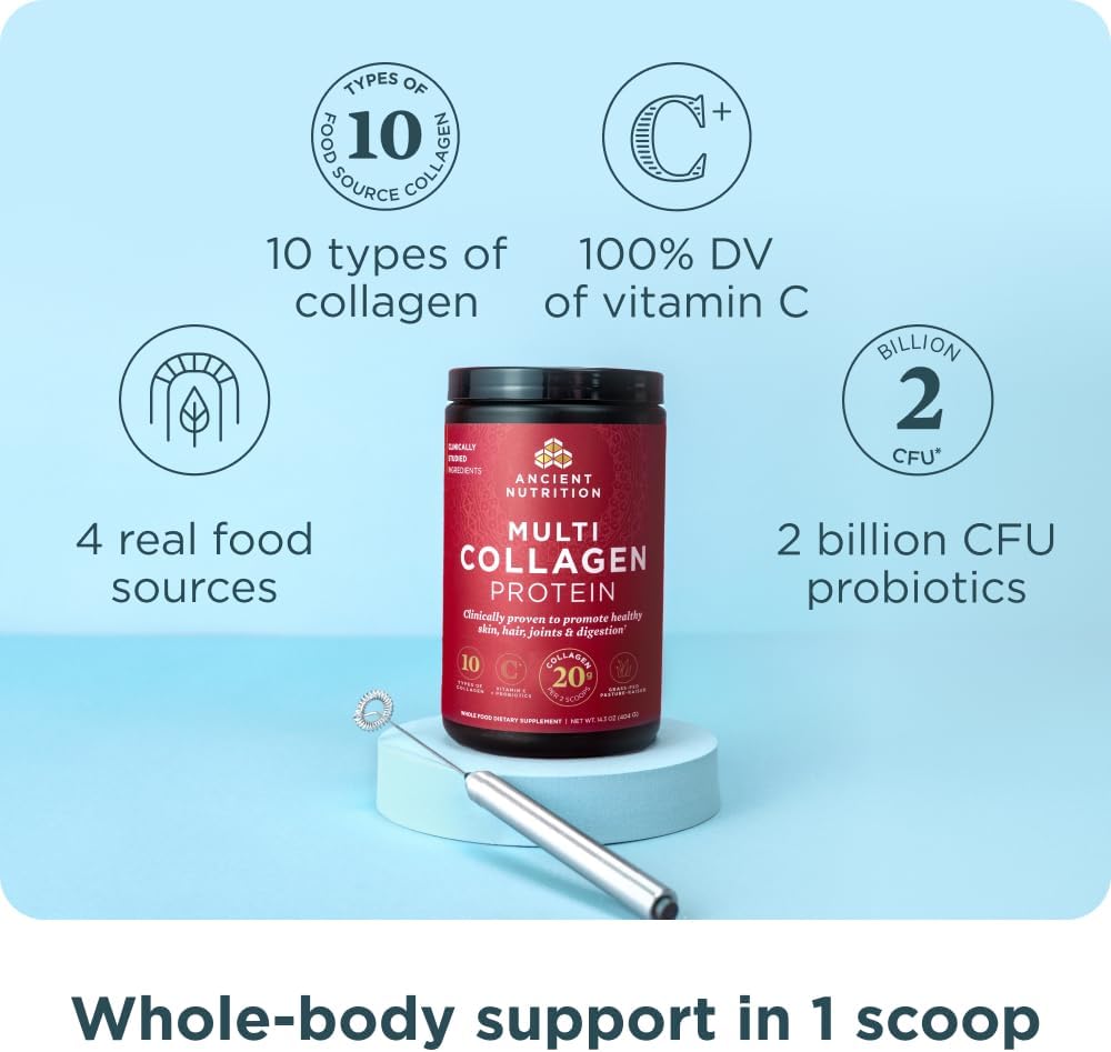 Ancient Nutrition Multi Collagen Protein Powder Chocolate Flavor 16.65oz | 40 Servings | Supports Joint Care, Skin, Hair &amp; Nails, and Gut Health